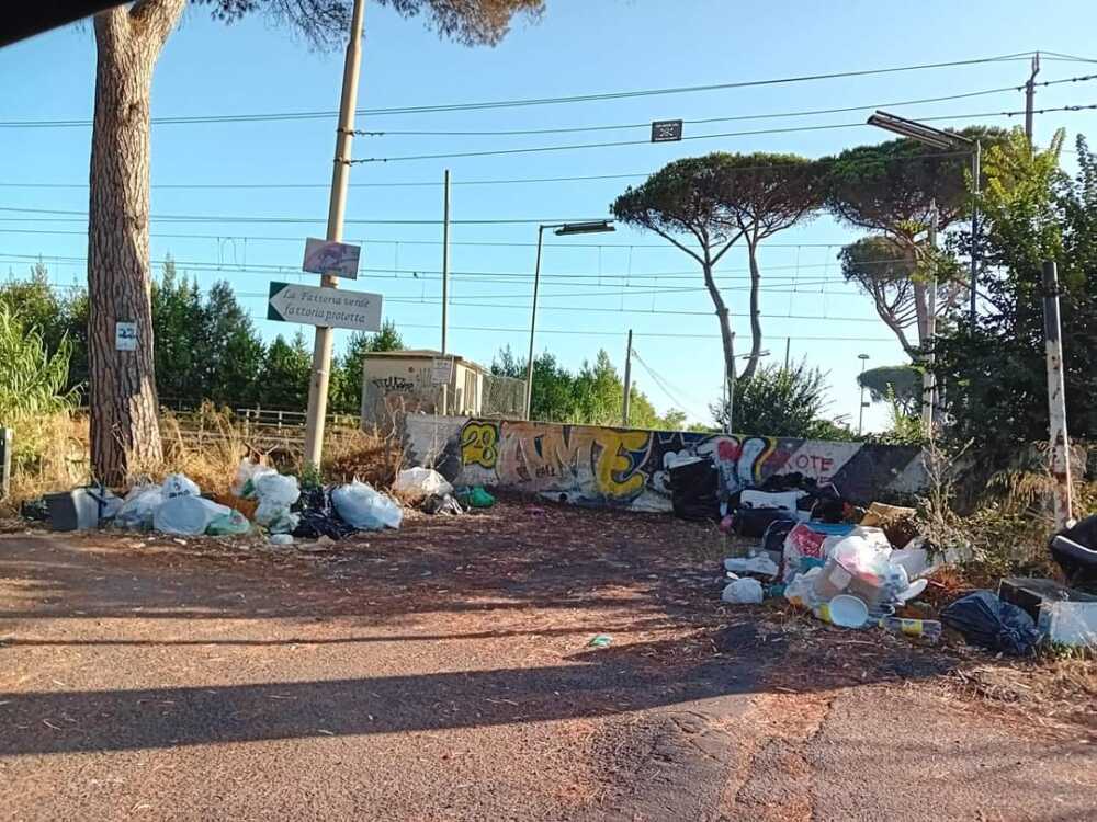 FB_IMG_1690988901187