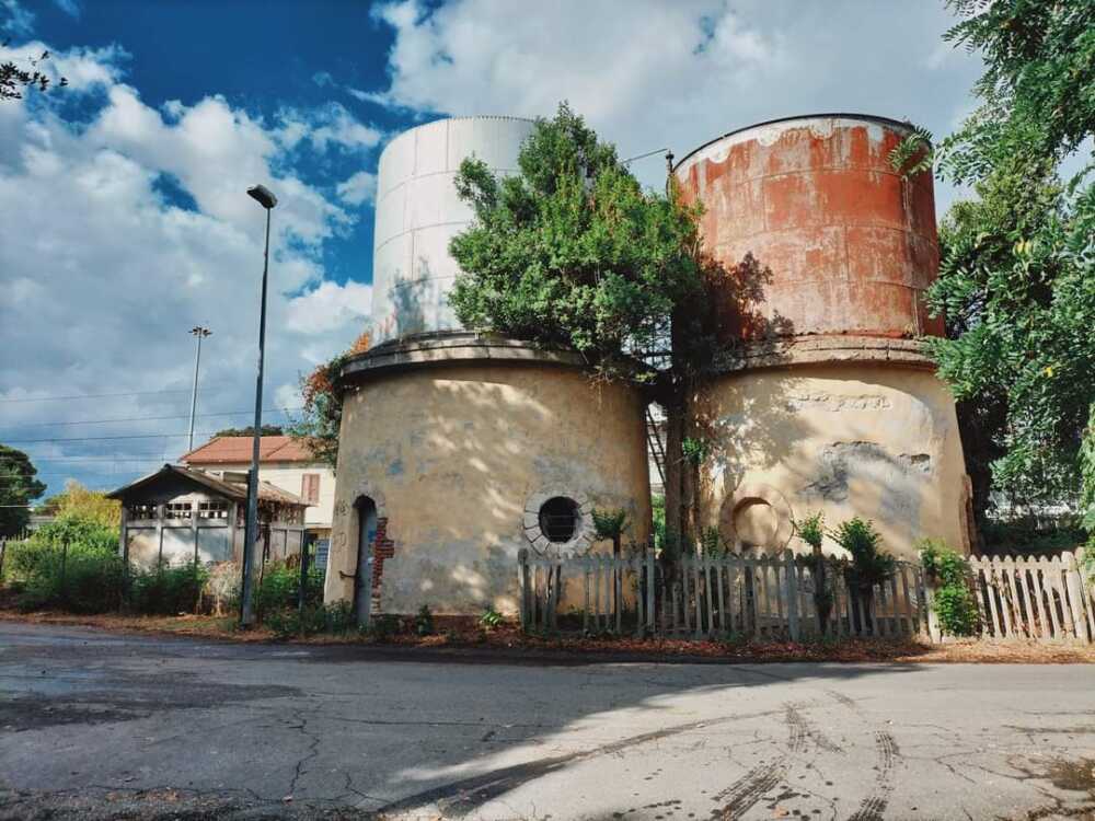 FB_IMG_1691421890809