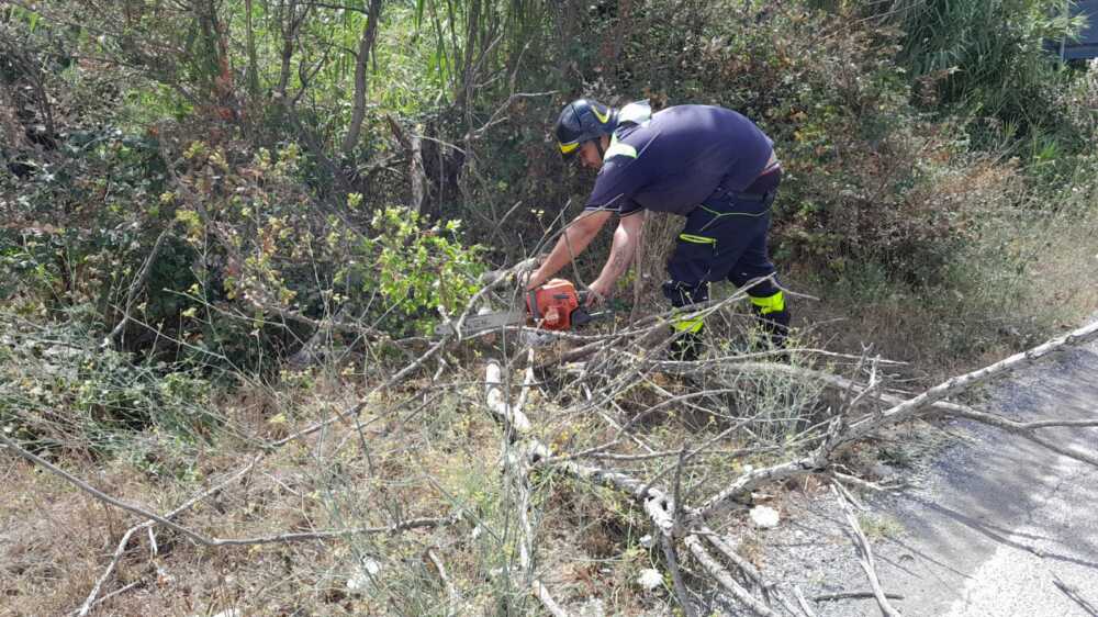 Grosso ramo sulla Settevene Palo nuova a Cerveteri, intervento della ProCiv