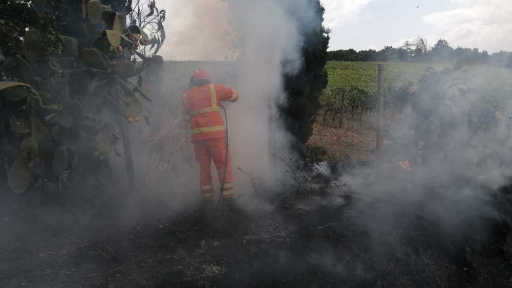 Incendio in via della Mortella a Cerveteri, lo spegne la ProCiv
