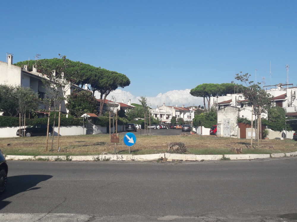 alberi cerenova campo mare