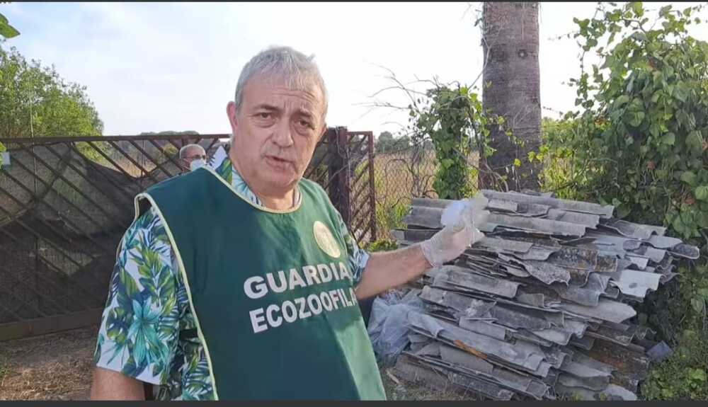 amianto guardie ecozoofile ladispoli