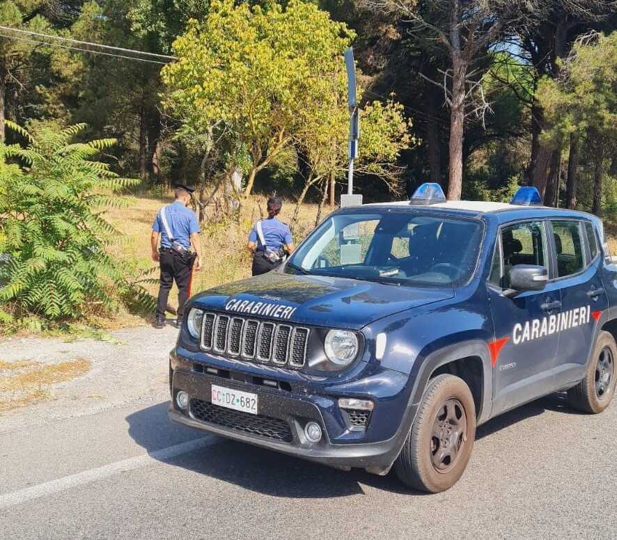 carabinieri bosco campagna
