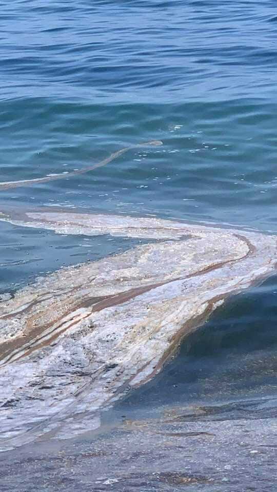 chiazza e fetore a Ladispoli in mare