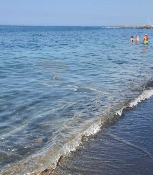chiazza scura mare ladispoli fronte monumento caduti (1)