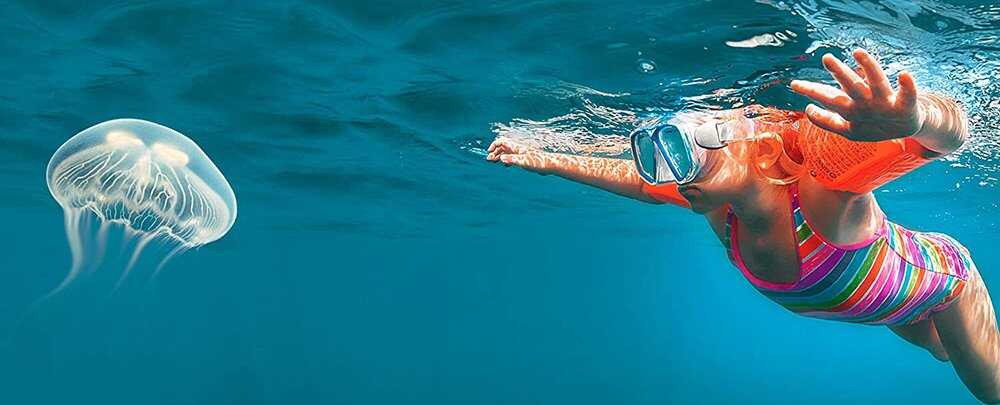 Contatto con la medusa, i consigli del Nucleo Subacqueo Cerveteri onlus