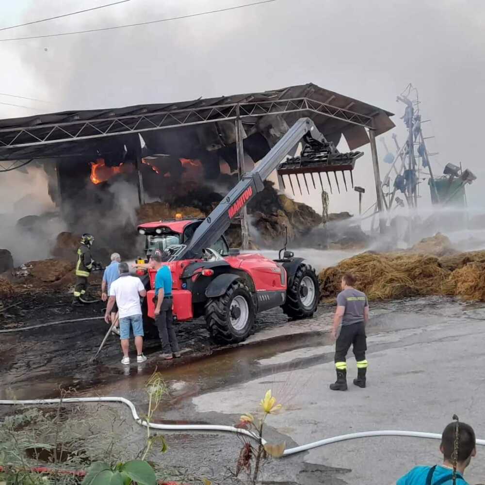 fattoria salvucci fiumicino fattoria salvucci fiumicino