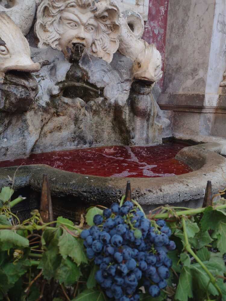 il mascherone butta vino