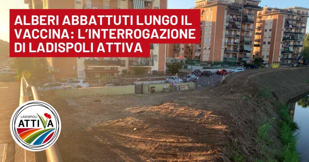 ladispoli attiva alberi vaccina