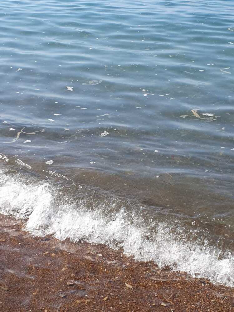 liquami mare santa severa 3 liquami mare santa severa 3