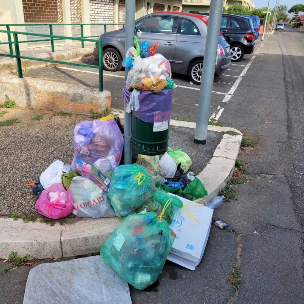 ogni lunedì campo di mare rifiuti gubetti