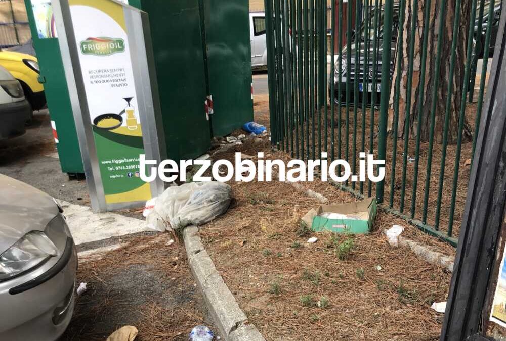 “Piazza Matteotti a Ladispoli sommersa da aghi di pino e sporcizia: è in questo stato da settimane”