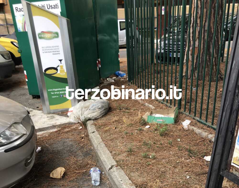 piazza matteotti ladispoli sporcizia pini (1)