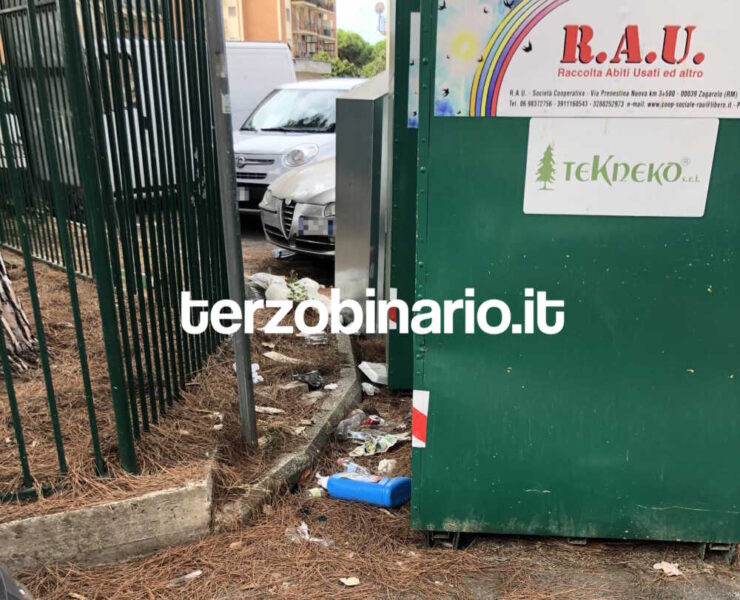 piazza matteotti ladispoli sporcizia pini (1)