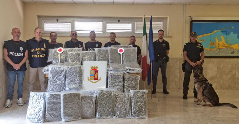polizia finanza civitavecchia porto marijuana (1) polizia finanza civitavecchia porto marijuana (2)