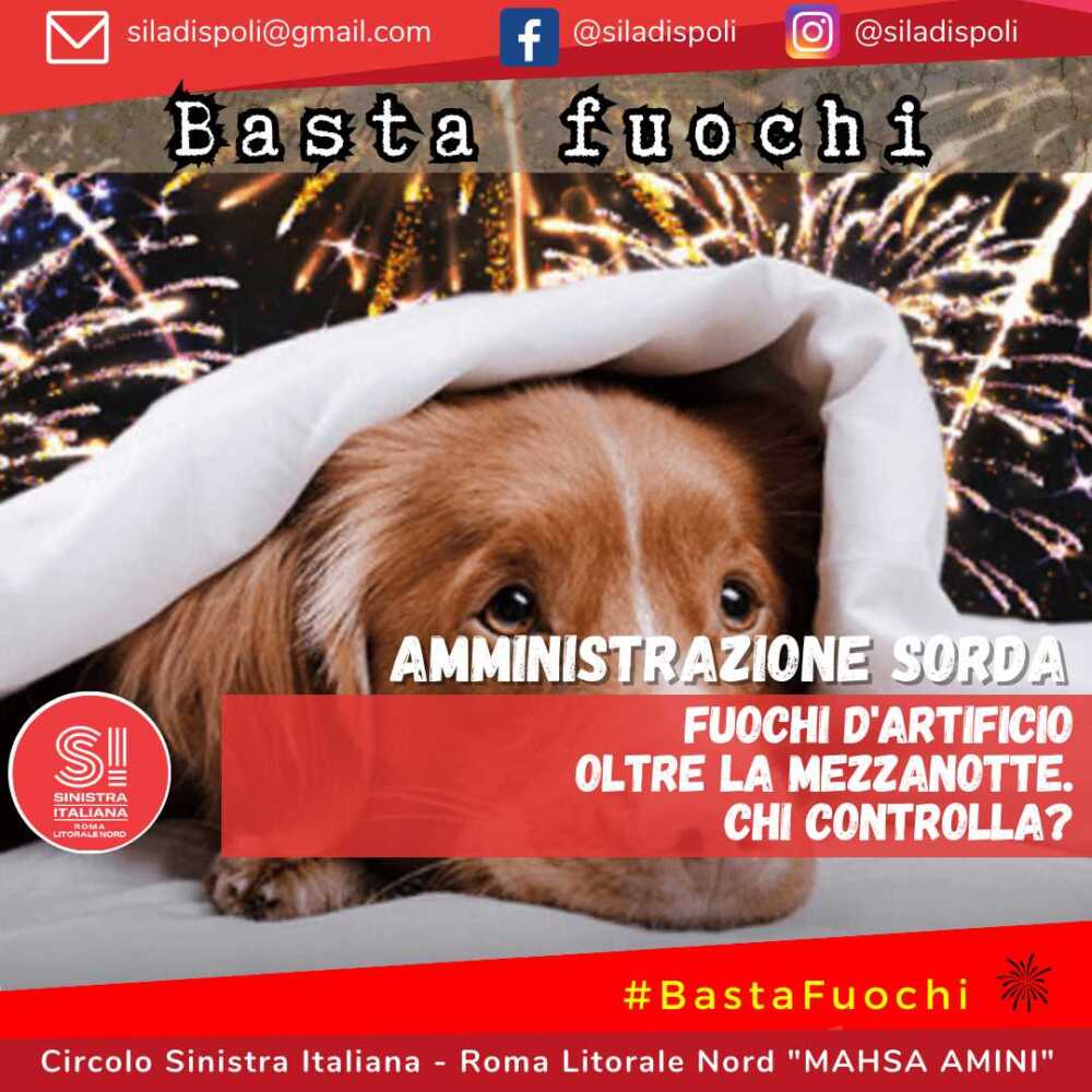 si ladispoli fuochi artificiali animali si ladispoli fuochi artificiali animali