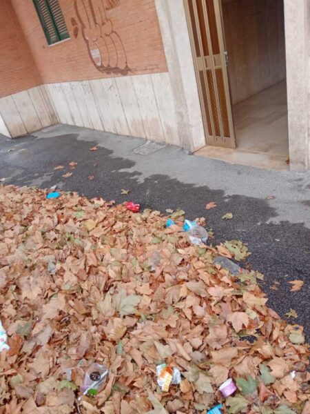 tappeto foglie via palermo ladispoli (1)