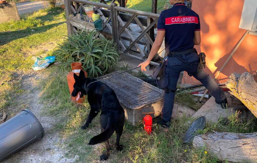 5ff50497-fbd1-4704-aaf3-54b24162e85c