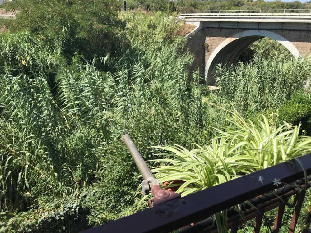 Canneto fosso Castelsecco