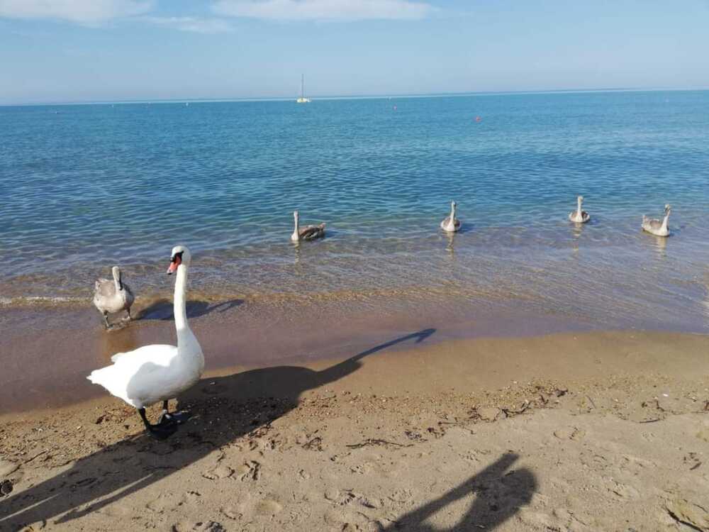 FB_IMG_1693731667736