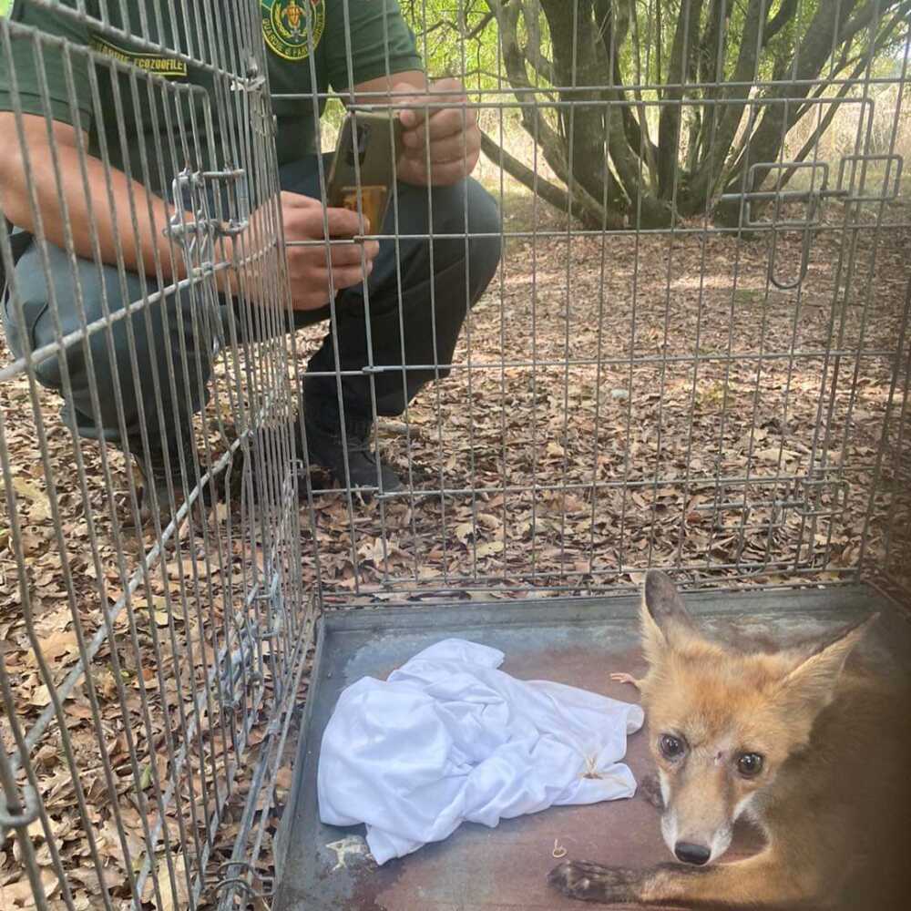 FB_IMG_1694954987592