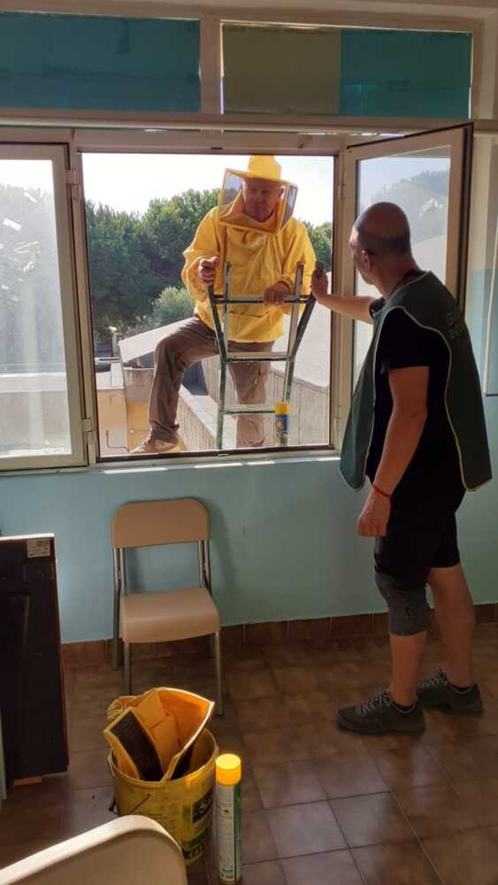 Fare ambiente pronto intervento vespa