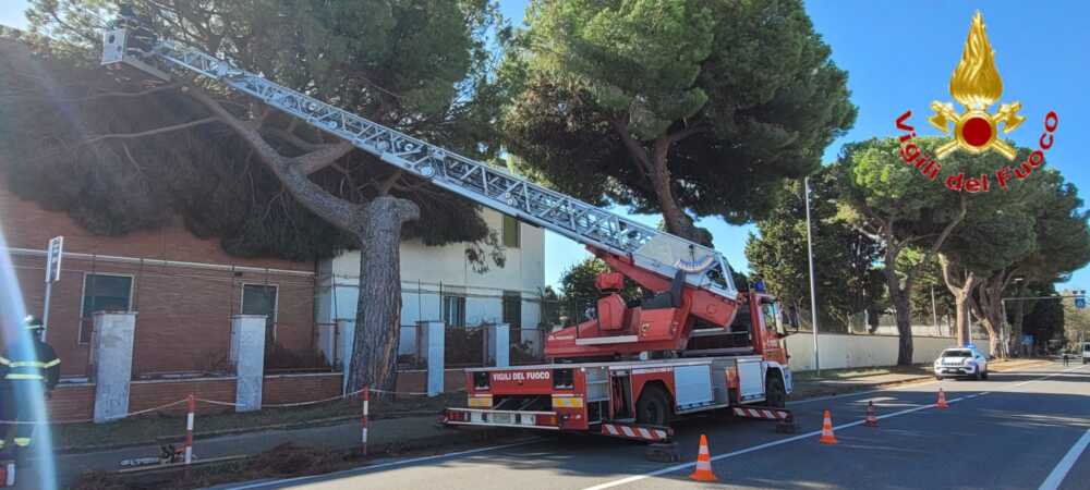 albero caduto reggimento trasmissioni aurelia civitavecchia vvf vigili fuoco pompieri albero caduto reggimento trasmissioni aurelia civitavecchia vvf vigili fuoco pompieri