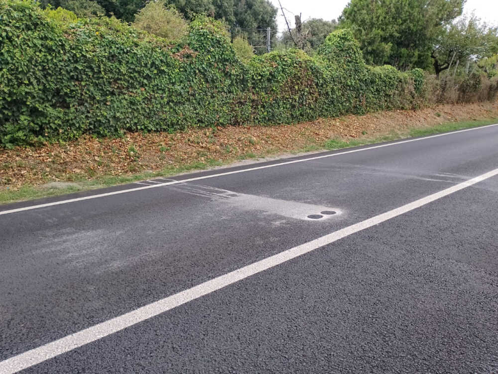 carotaggi settevene palo (1) carotaggi settevene palo (2)