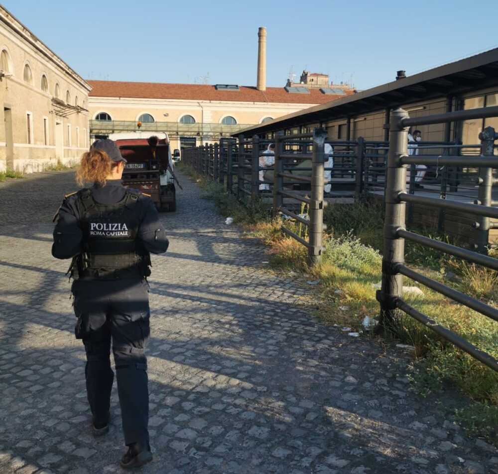 mattatoio testaccio municipale roma capitale