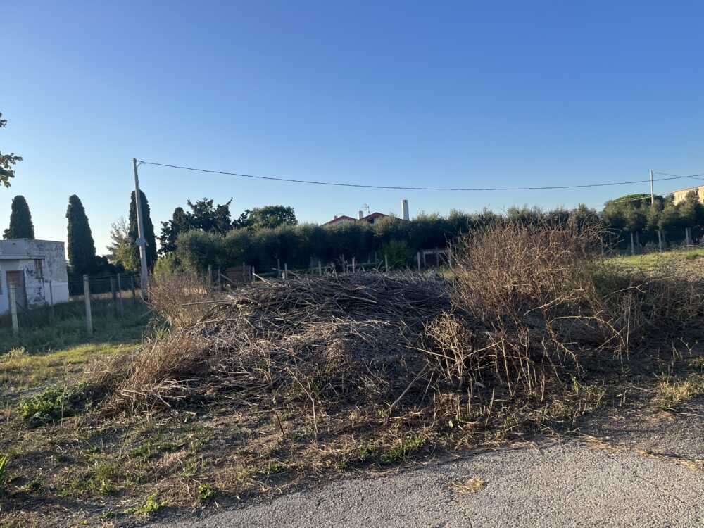 montalto montalto campo sportivo abbandonato