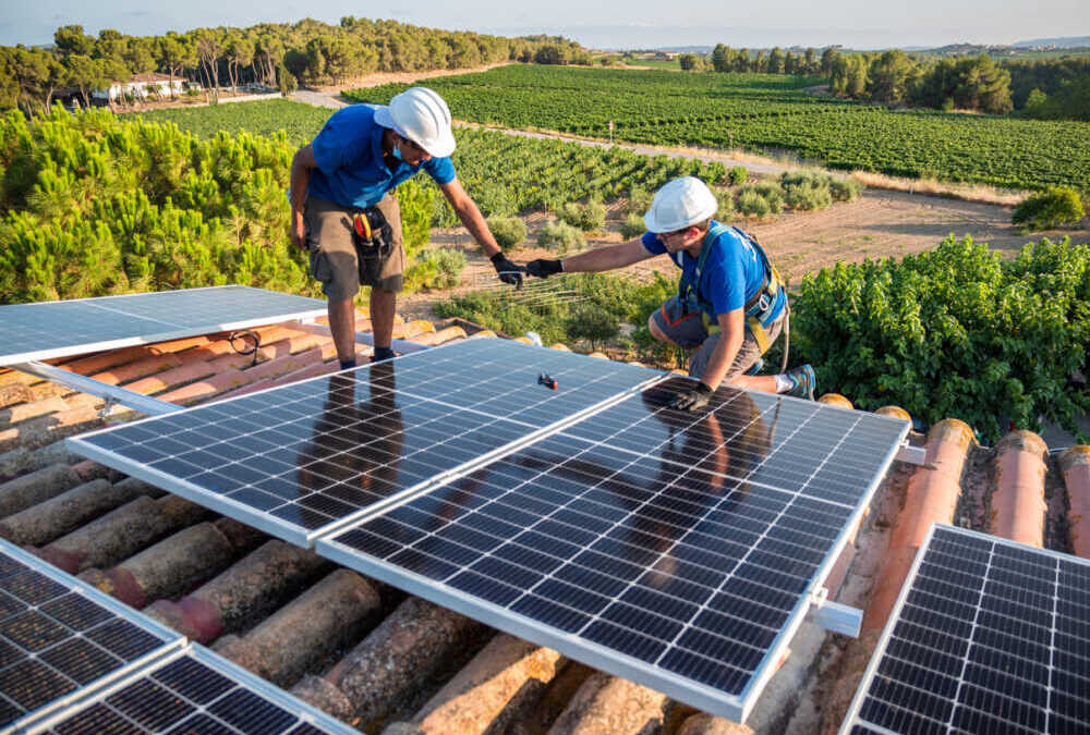 pannelli fotovolotaici ricorso consiglio di stato pannelli fotovolotaici ricorso consiglio di stato