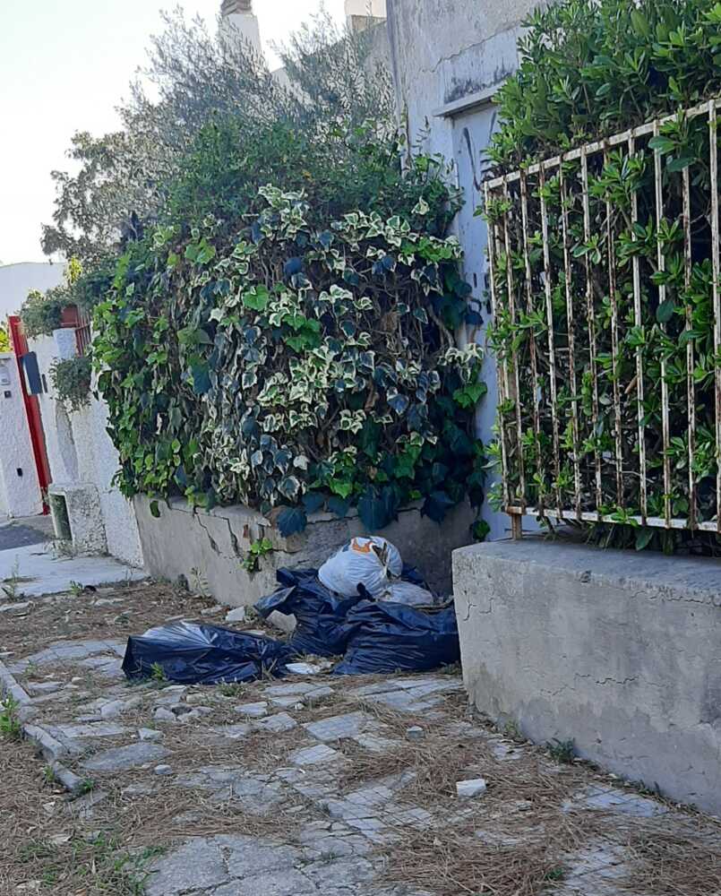 rifiuti santa marinella rifiuti santa marinella