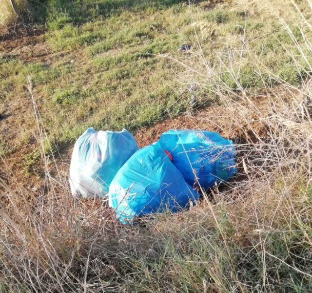 sacchi spazzaura rifiuti olmetto water 1