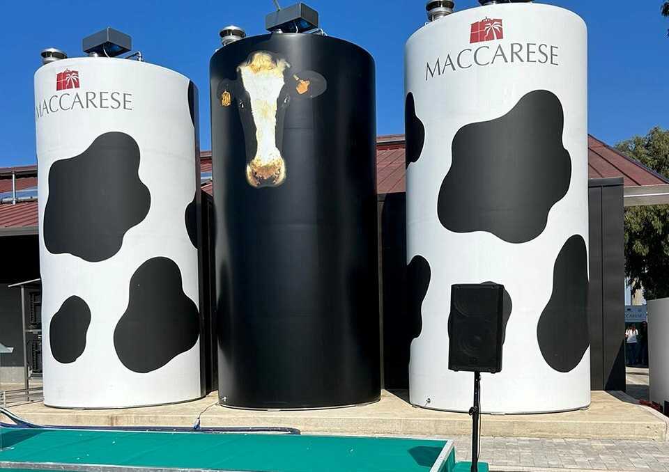 sala mungitura di maccarese