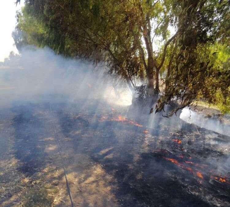 Incendia fogliame per pulire ma rischia un rogo al Sasso di Cerveteri