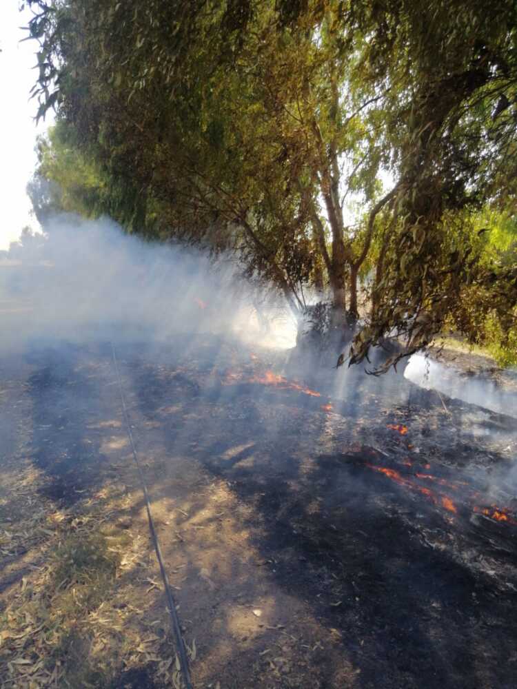 sasso cerveteri incendio