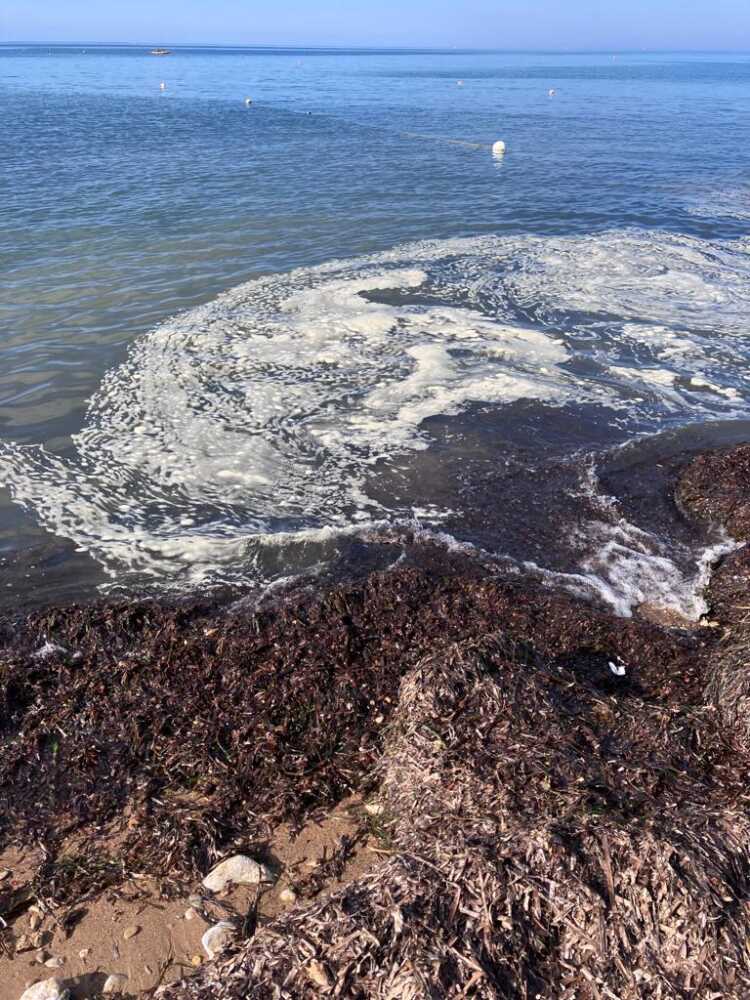 schiuma mare santa marinella