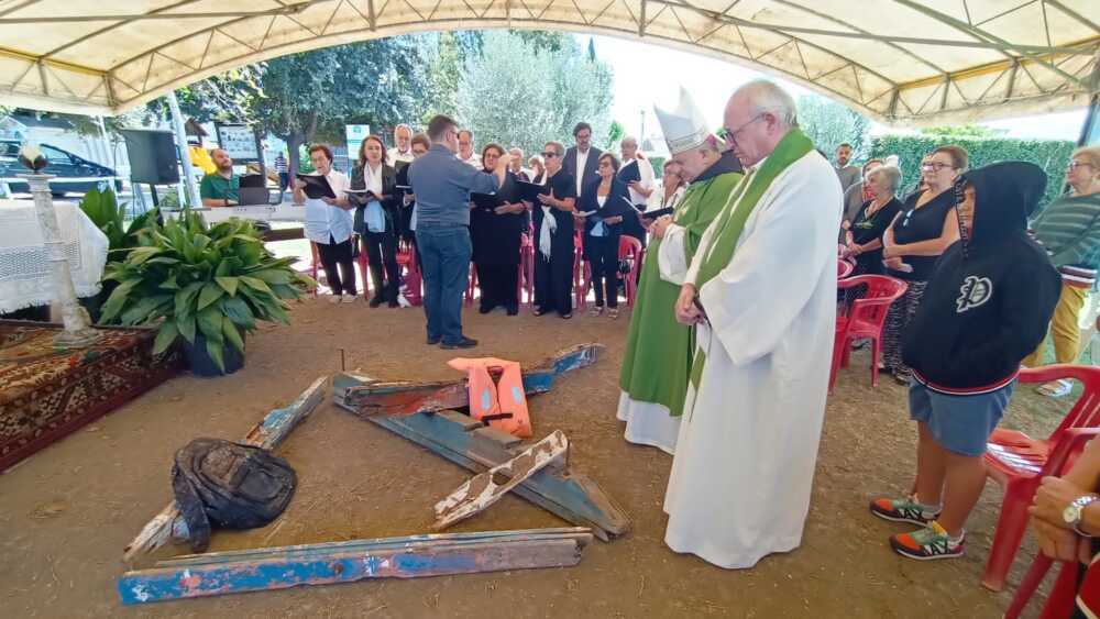 semi di pace tarquinia