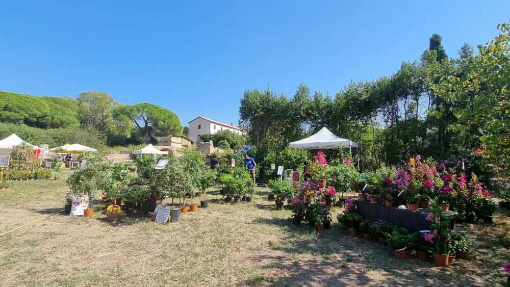 Successo per la XII Edizione di “Terme in Fiore” a Civitavecchia