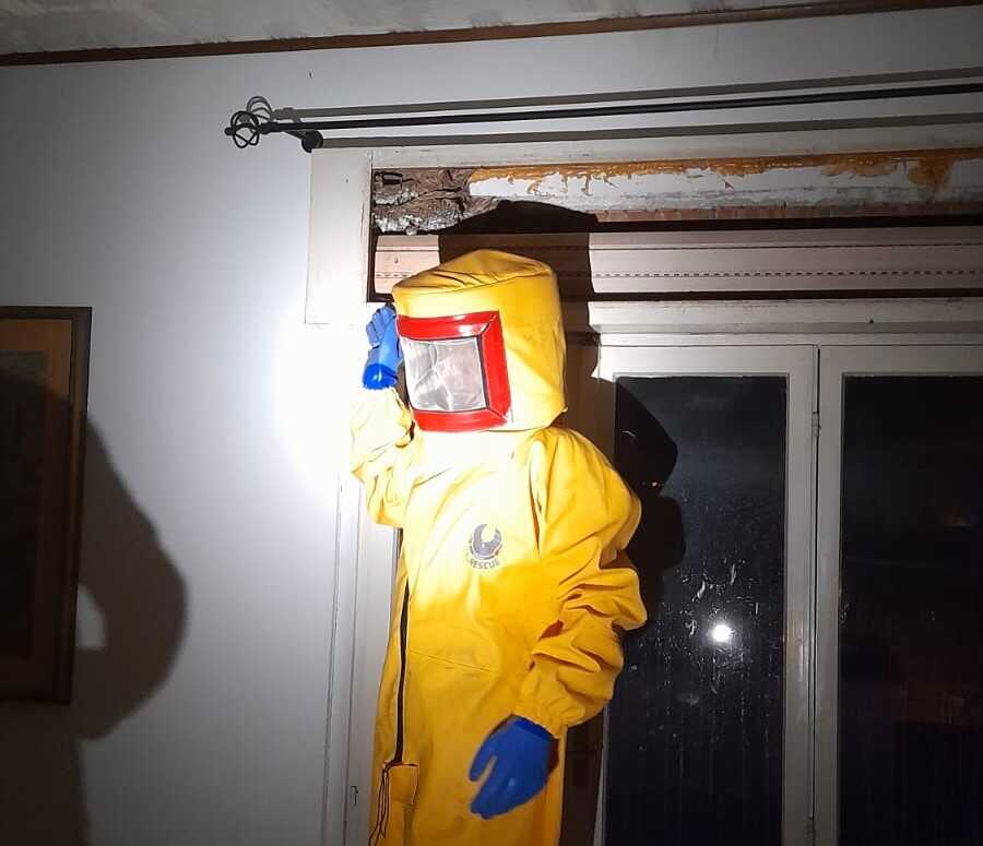 vespa orientalis alveare pompieri vvf vigili fuoco 2 vespa orientalis alveare pompieri vvf vigili fuoco 2