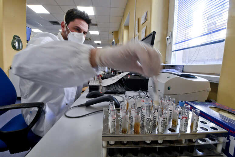 CEPPO OMICRON COVID IN ITALIA CEPPO OMICRON COVID IN ITALIA