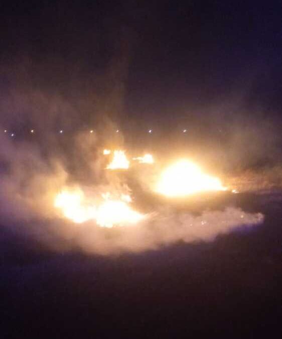 Vasto incendio a Borgo San Martino, arriva l’autobotte