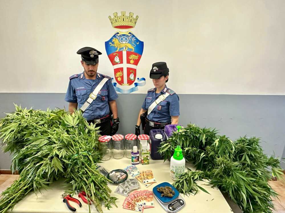PROVINCIALE - Parte della droga sequestrata dai Carabinieri (1)