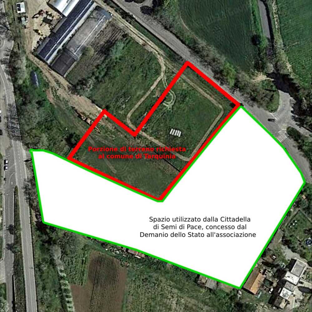 area cittadella semi pace