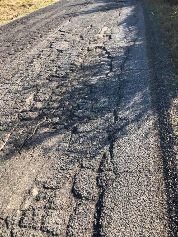 buche cerveteri pelle coccodrillo (2) buche cerveteri pelle coccodrillo (1)
