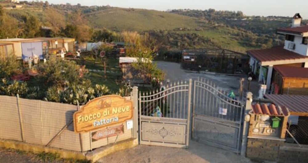 fattoria fiocco neve civitavecchia