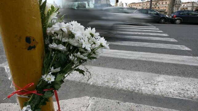 fiori turista morta investita fiori turista morta investita