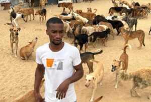 gaza-cisgiordania-animali-per-siti-300×203 gaza-cisgiordania-animali-per-siti-300x203