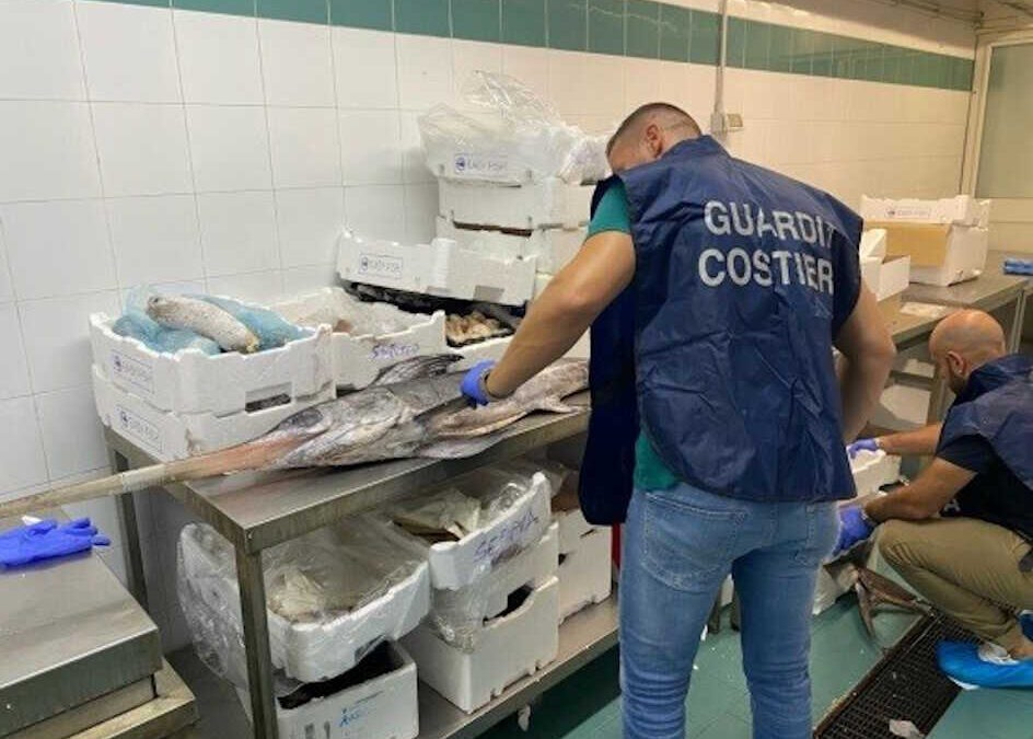 Pesce extra Ue, la Guardia Costiera di Civitavecchia ne sequestra una tonnellata
