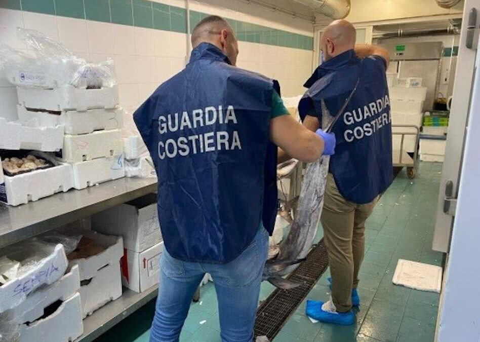 Pesca irregolare, giro di vite della Guardia Costiera Civitavecchia